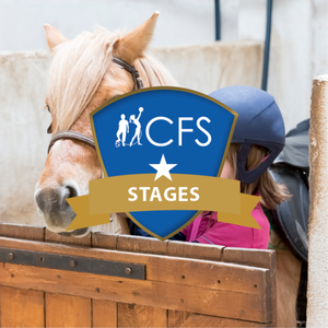 MiniatureStage%20%28FR%2FNL%29%20%7C%20Baby%20Poney%20-%20Man%C3%A8ge%20la%20Motte